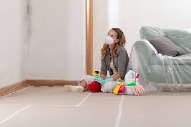 Reliable Black Mold Removal contractor in Paradise Valley, AZ by WQB Mold Removal